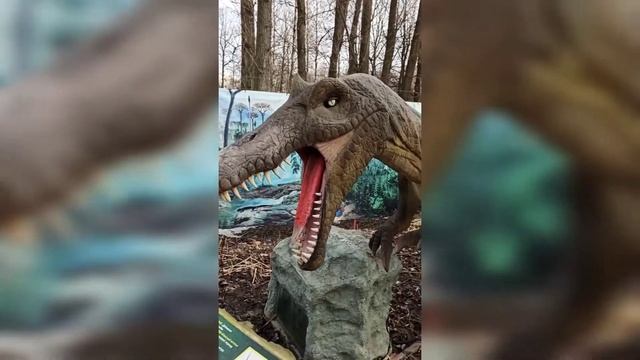 рукодельный влог: оформленная работа/новый процесс/динопарк?/огород на подоконнике/цифра из крышек смотреть онлайн