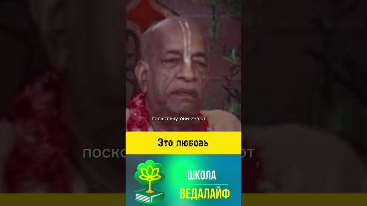 Это любовь #shorts