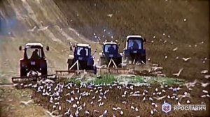 Ножевая борона Куоса для МТЗ
