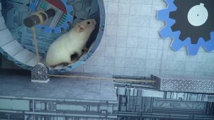 Приключения Хомы! \\ Хомячок ХОМА Проходит лабиринт "Майнкрафт" - удасться ли сбежать из тюрьмы?!
