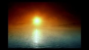 deep forest - night bird