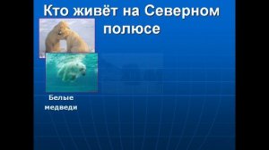 Презентация где живут белые медведи и пингвины презентация