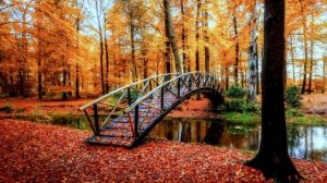 Потенциально готовые к Переходу