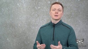 Шпагат, перекос таза. Угол шейки бедра