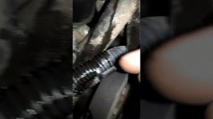 Течь масла ep6 пежо 308