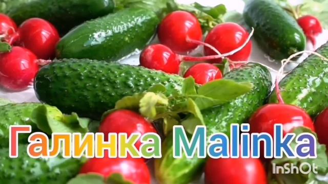 Ольга Уралочка live / Срочные новости /Разборки с соседями /Нам 3 года /Обзор  /Уралочка и Сафар