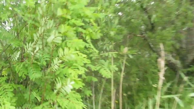 Земельные участки в Добрилово