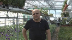 Туннельные теплицы для фермеров. Ответы на вопросы