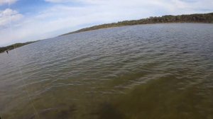 Fishing the flats for HUGE flathead!!