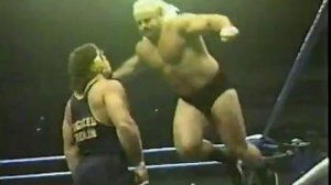 Кевин Салливан и Майк Ротунда vs Рик и Скотт Штайнеры, Great American Bash1989