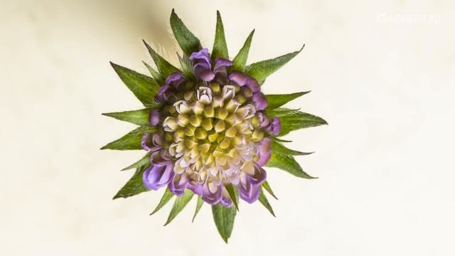 Как женщине научиться уважать себя: 15 подсказок смотреть онлайн