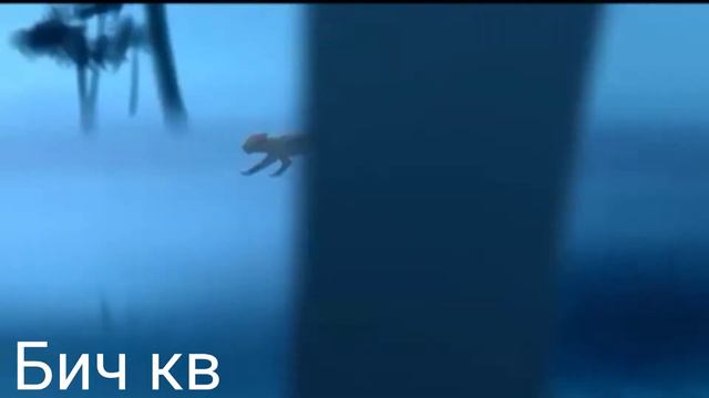 Клип я влюбился в неё смотреть онлайн