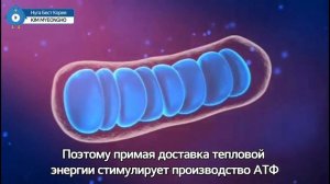 В чем выражается действие проникающего инфракрасного излучения