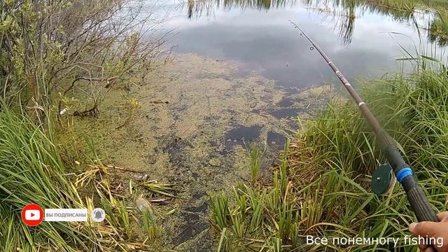 Караси на разливах у дороги. Рыбалка в Омской области. смотреть онлайн