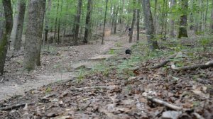 Specialized Status 160 Review | Mullet Bike 29/27.5