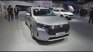 2021 Nissan Venucia D60 Plus