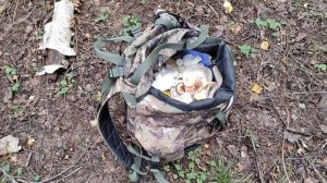 Собираем сыроежки для жюльена! Грибы Подмосковья 13.08.2021.