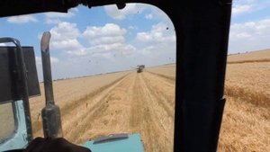 Уборка урожая. Нива СК-5 и Т-40