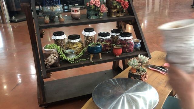 🌵💥초보다육파파 가을분갈이 후레뉴_Pachyphytum cv Frevel  블랙캐시미어철화_Aeonium Velour💥🌵 смотреть онлайн