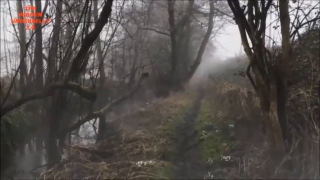 Подборка: нечто, одержимый, полтергейст, призраки, сбой в матрице, джинн, рептилоиды смотреть онлайн