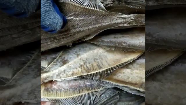 Камбала ёрш Мурманский. Вяленая рыба.