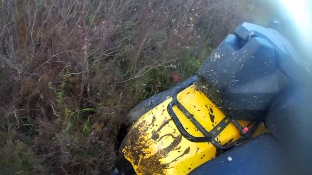 Осенняя покатушка к Гатчинским гейзерам на квадроциклах #Стелс #CF Moto,сравнение квадров на offroa смотреть онлайн