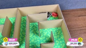 Hamsters in a 5 - Level Minecraft Maze