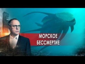 Морское бессмертие. Самые шокирующие гипотезы с Игорем Прокопенко (02.11.2021).