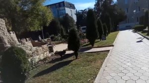 Ессентуки Санаторий им. Анджиевского