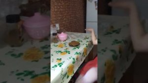 Ты не видишь шоли шо я Анджелина Джоли / Куку-Шанель