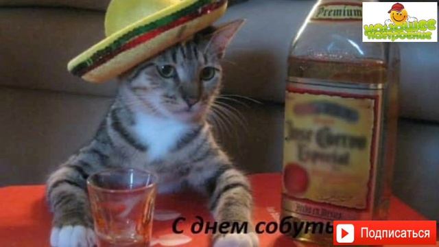 ?День собутыльника. 7 декабря. /Поздравляю