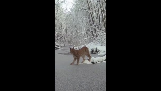 Невероятная природа