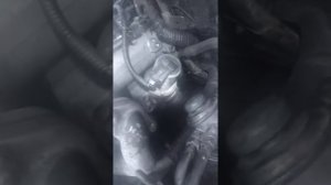 кия саренто дизель не заводится...