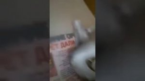 Редуктор мясорубки Мулинекс HV8