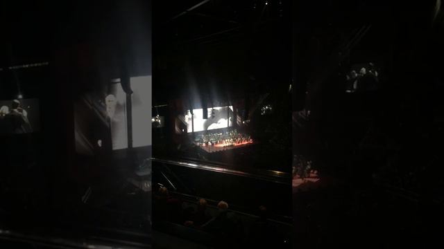 Andrea Bocelli & Matteo Bocelli Fall On Me Live Orlando FL 2019 смотреть онлайн