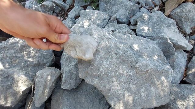 Звенящие камни руин древних сооружений в Аккале прямо сейчас смотреть онлайн