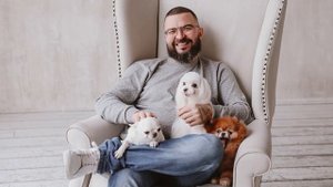 Мастер-класс по ПЕТ стрижке ши-тцу и мальтезе.