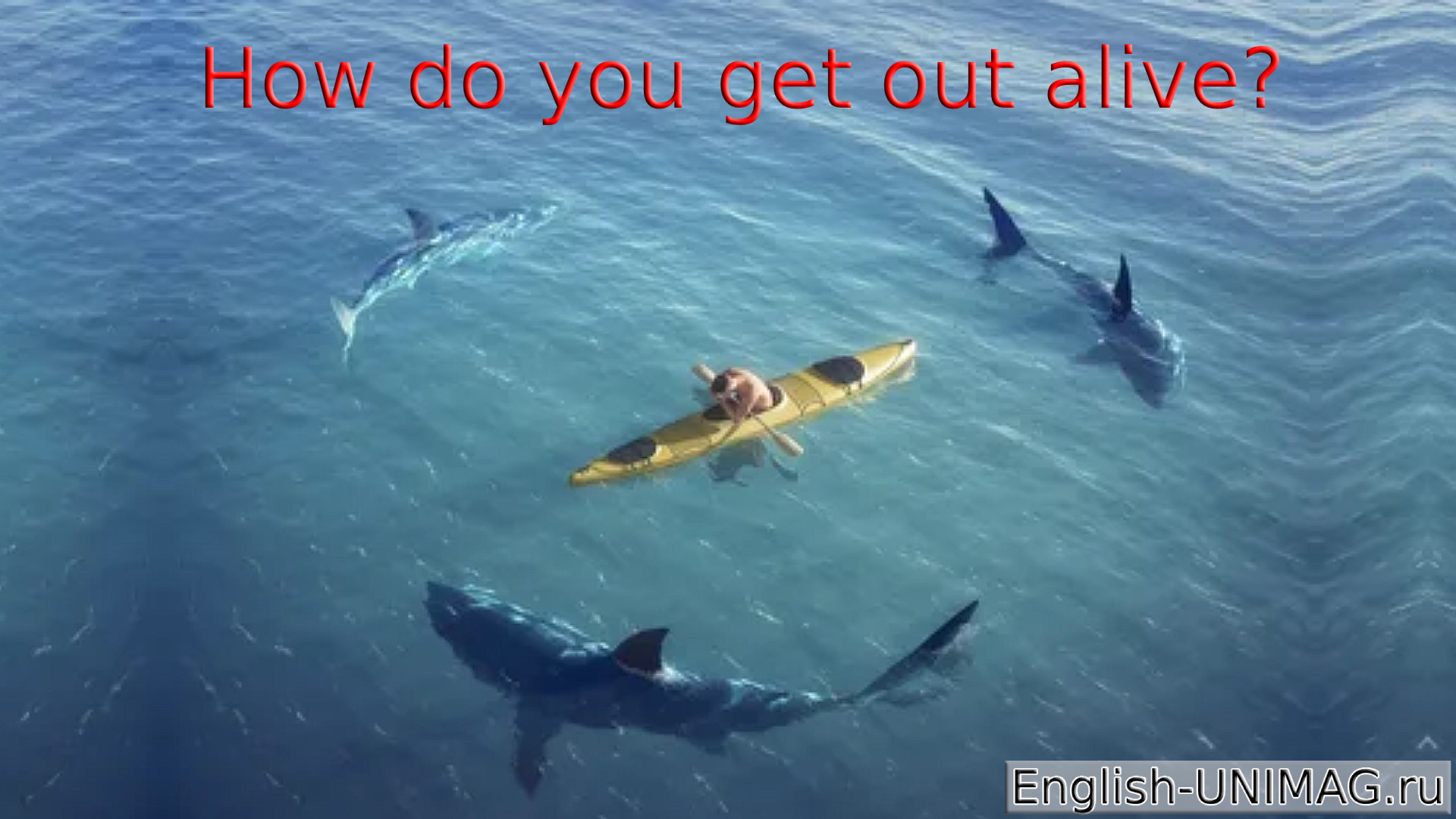 Прокачаем английскую лексику на онлайн тренажере English-UNIMAG. Используем сюжет английской загадки