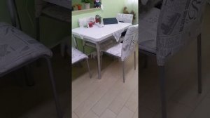 Британский котенок 1.5 месяца.  Второй день в новом доме.