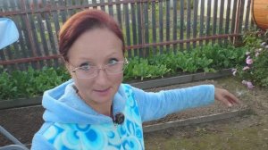 Видео привет с 6 соток 17 сентября 2023 года