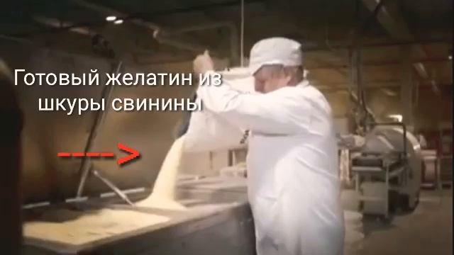 Из СВИНЬИ делают ЖЕЛАТИН! смотреть онлайн