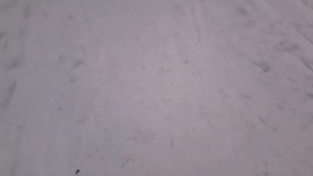 Влог ... Прыгнуть с лестницы?? смотреть онлайн