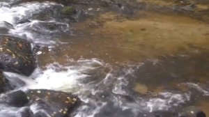 Где купаться летом в походе.  Купальня с ванной в ручье.