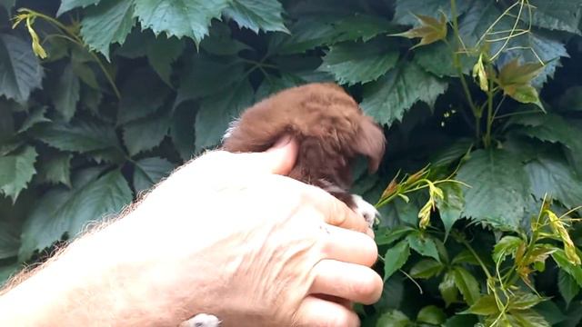 Такая как есть ! смотреть онлайн