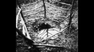 Охотники подумали, что нашли настоящего снежного человека. История Заны из Абхазии