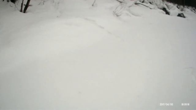 Первый сезон. 10-я серия. Самодельные нарты из сломанных лыж. Тащим три ведра рыбы. смотреть онлайн