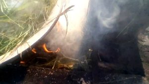 кедровые молочные шишки. "ВАРИМ".