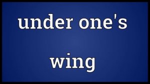 Under one's wing Meaning