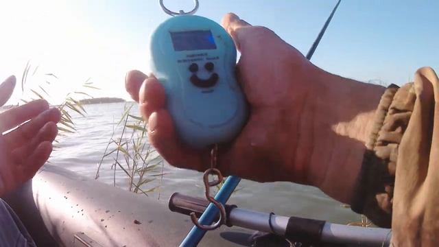 Озеро Чаны остров Сарган 22.08.2022. смотреть онлайн