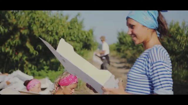 Студенческие сельскохозяйственные отряды (РСО)